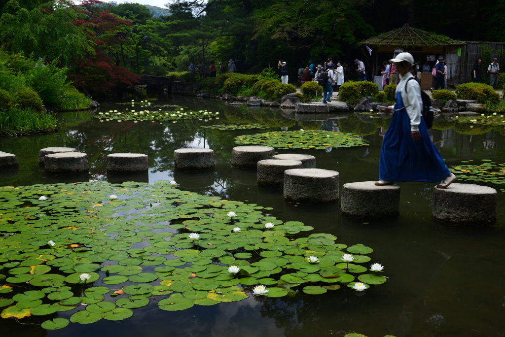 240607平安神宮39