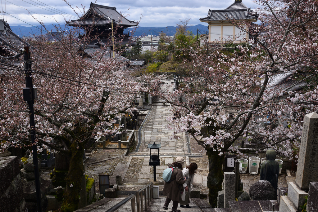 240404c金戒光明寺17