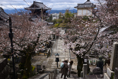 240404c金戒光明寺17