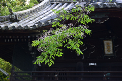 210514南禅寺51
