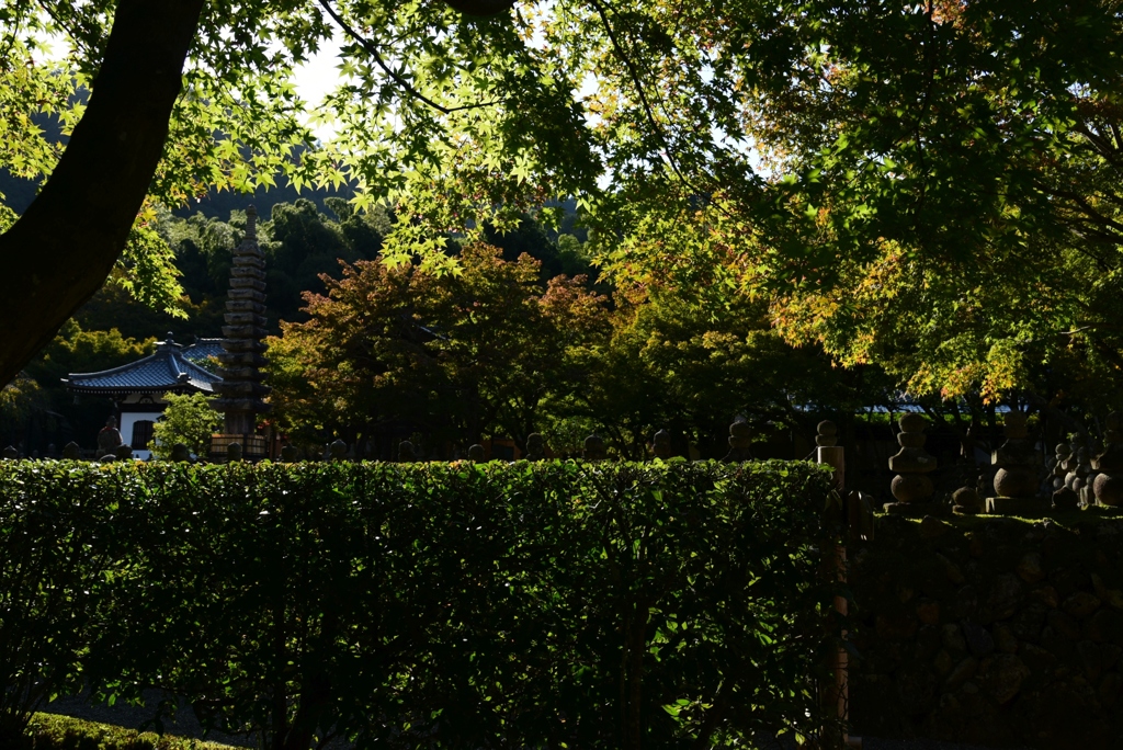 181018d化野念仏寺58