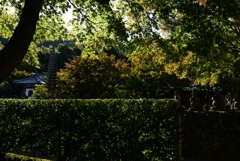 181018d化野念仏寺58