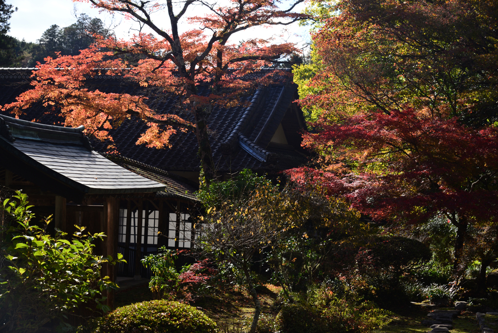 241129c佛通寺14