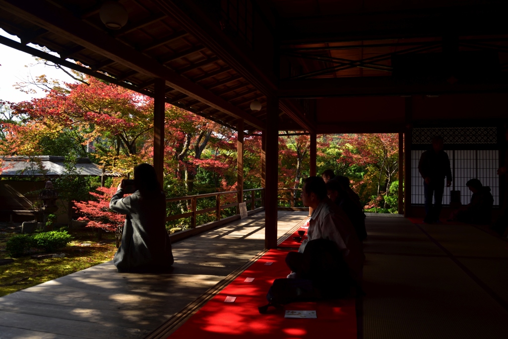 181125a妙心寺大法院48