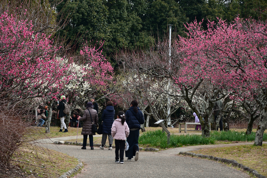 240210a山田池公園30