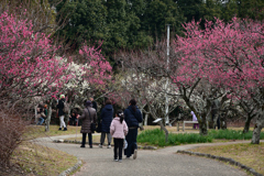 240210a山田池公園30