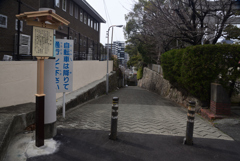 250308c愛染坂39×