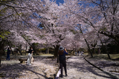 230401奈良公園24