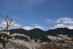 190412a談山神社51