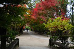 191122e宇治上神社26