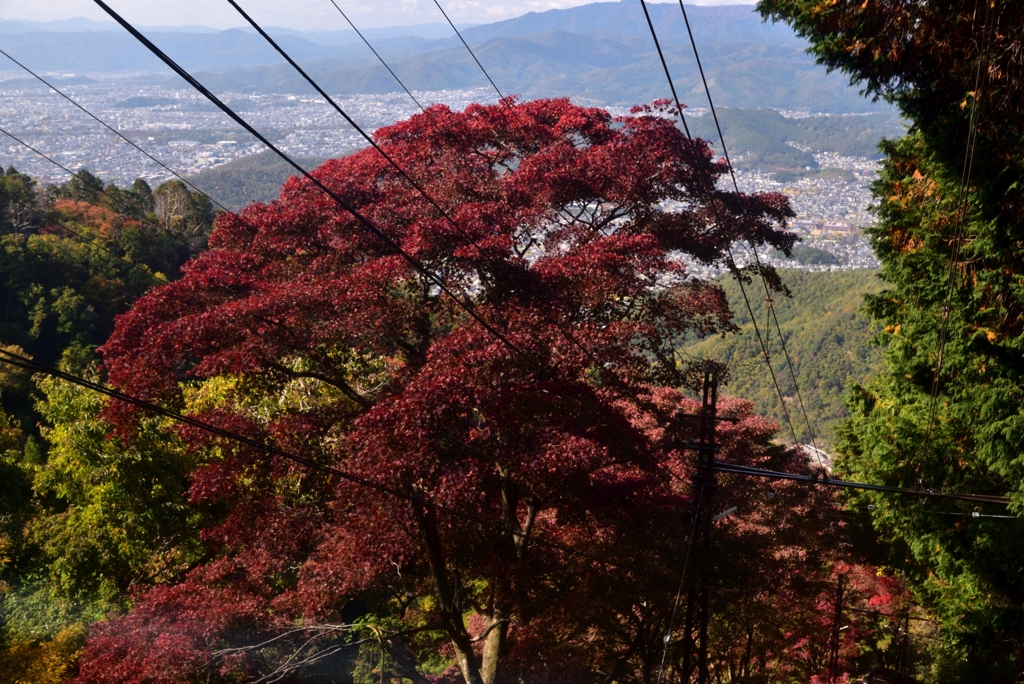 181107a比叡山03