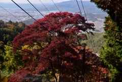 181107a比叡山03