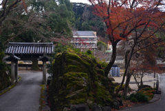 241223宇治08