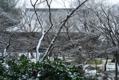 180127b圓光寺32