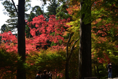 211106b神護寺27