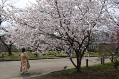 220325b京都植物園33