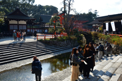 251207b下鴨神社04