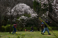 220325b京都植物園60