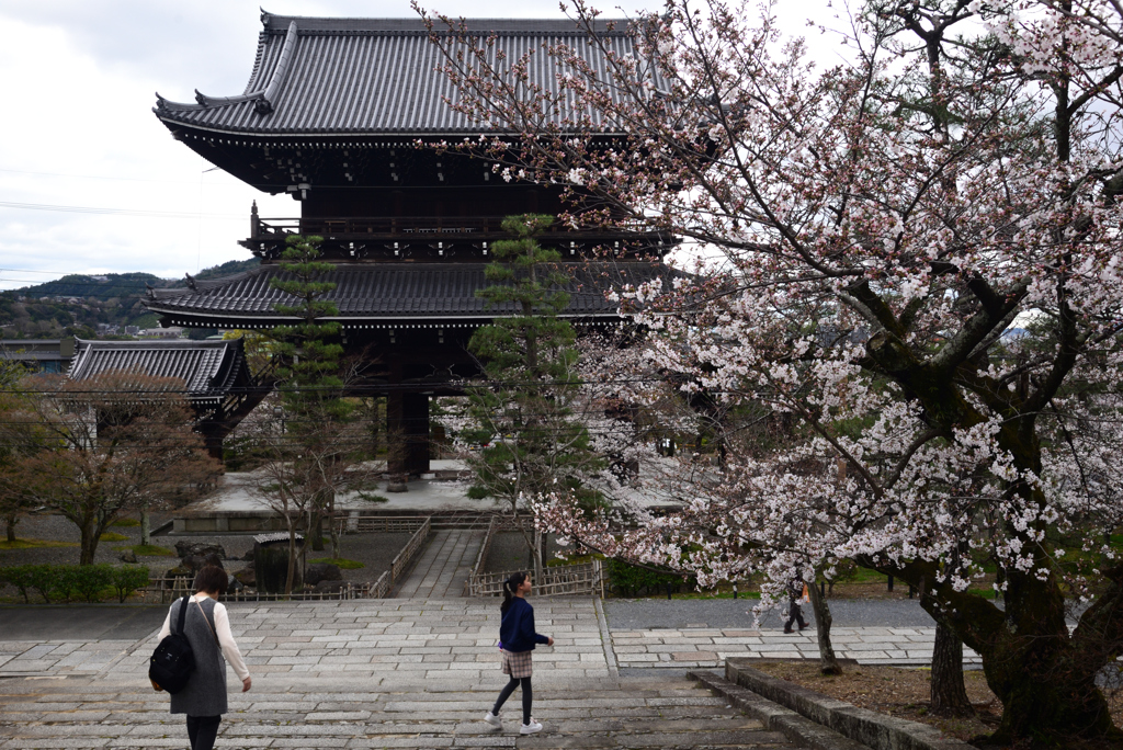 240404c金戒光明寺23