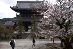 240404c金戒光明寺23