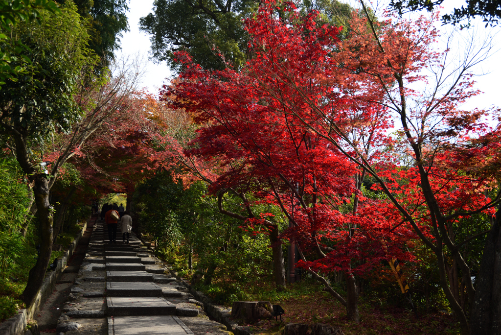 201210a高台寺02
