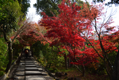 201210a高台寺02