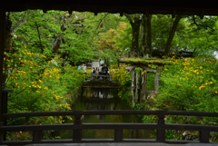 230418b松尾大社21