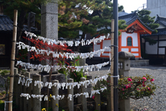 230108c六道珍皇寺30