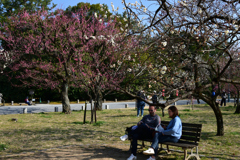 230307b京都御苑28