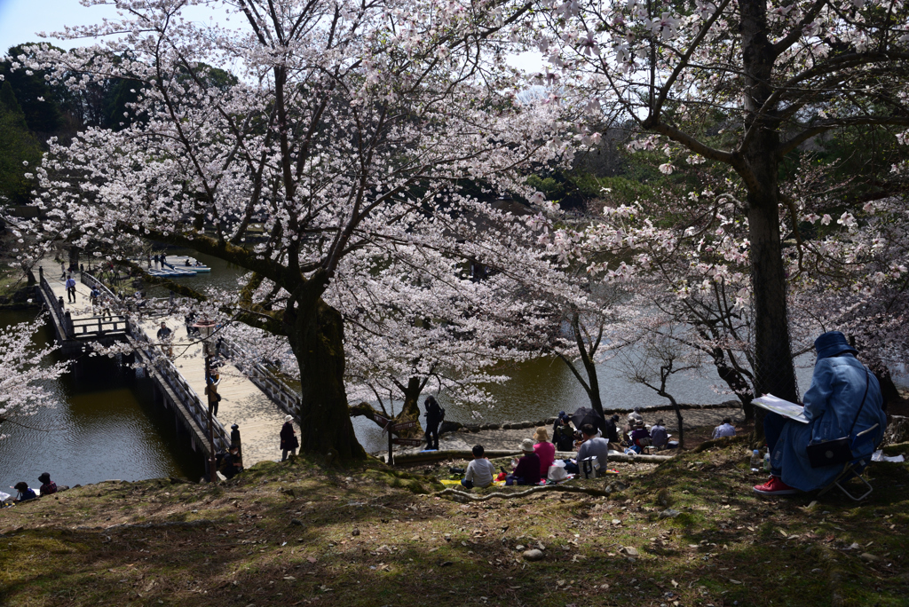 220330b奈良公園50