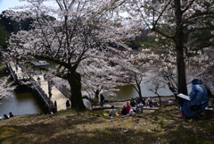 220330b奈良公園50