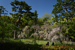 210407e京都御苑07