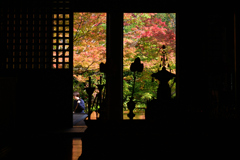 231102c西明寺24