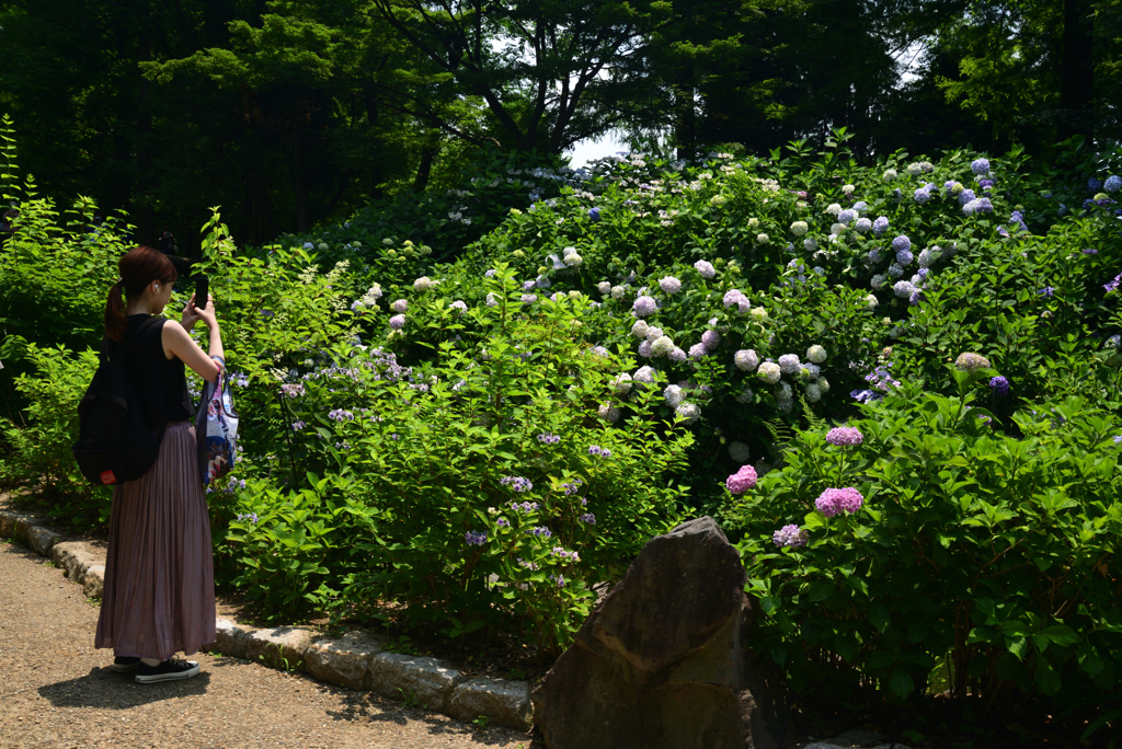 220619長居植物園22
