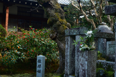 260123d新善光寺11