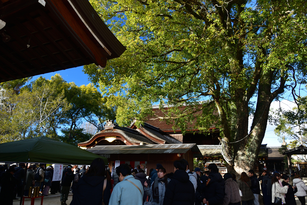 260103藤森神社17