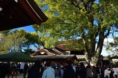 260103藤森神社17