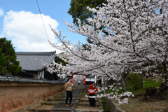 250403c金戒光明寺16