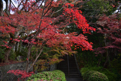 191205e興正寺22