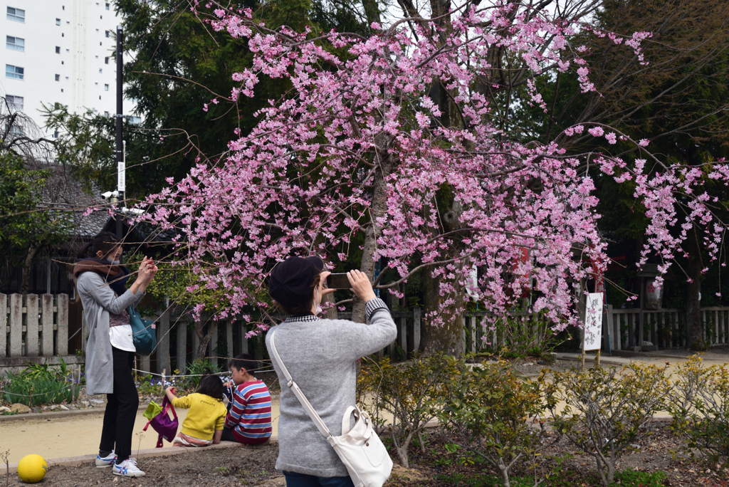 210320e水火天満宮52