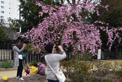 210320e水火天満宮52