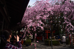 190327d水火天満宮10