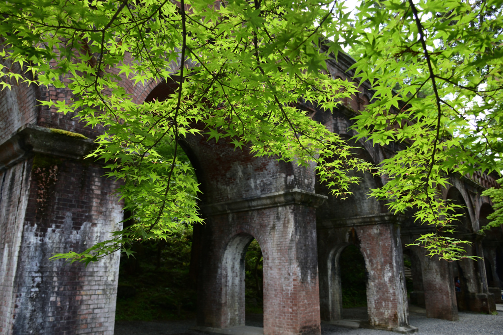 210514南禅寺29