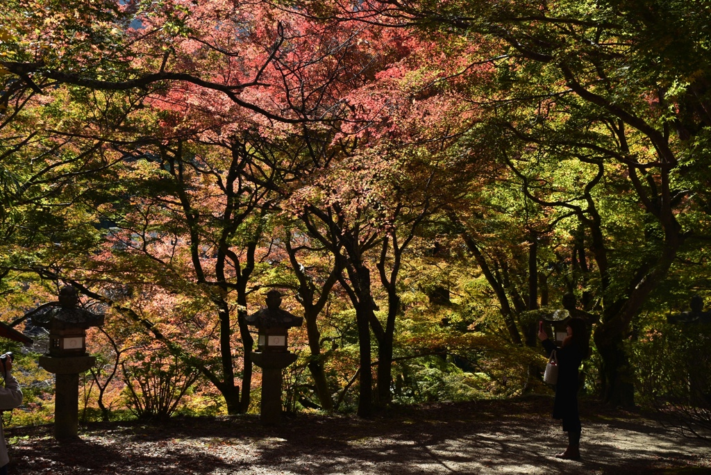 171113a談山神社46
