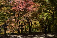 171113a談山神社46