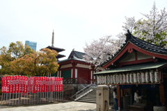 250412四天王寺29