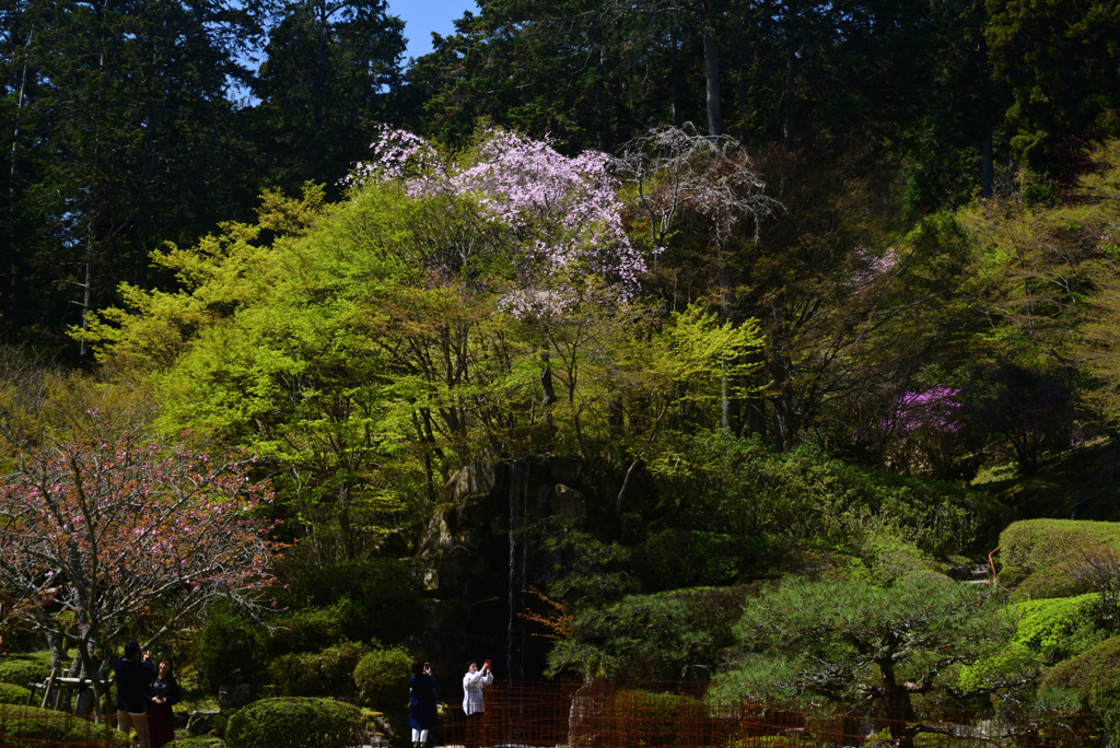 240410a石山寺41