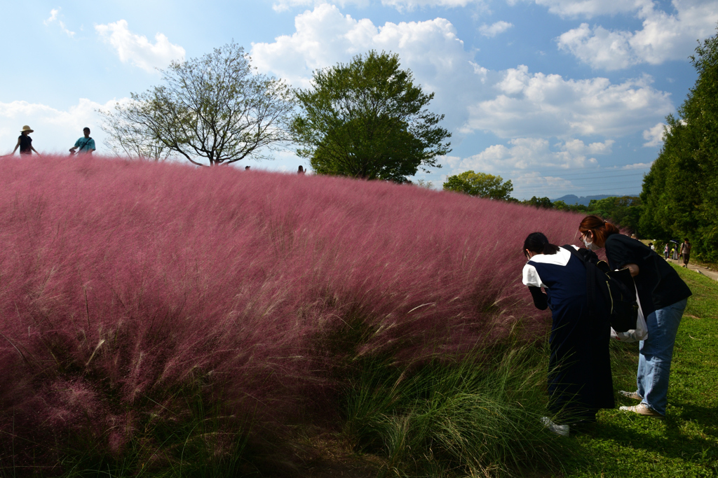 221001万博公園50