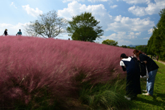 221001万博公園50