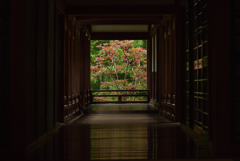 190703長谷寺60a